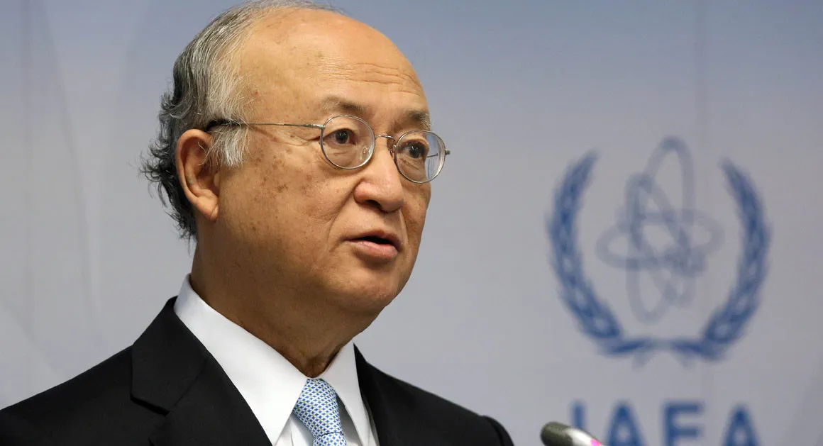 IAEA chief: Nuclear power plant was disrupted by cyber attack