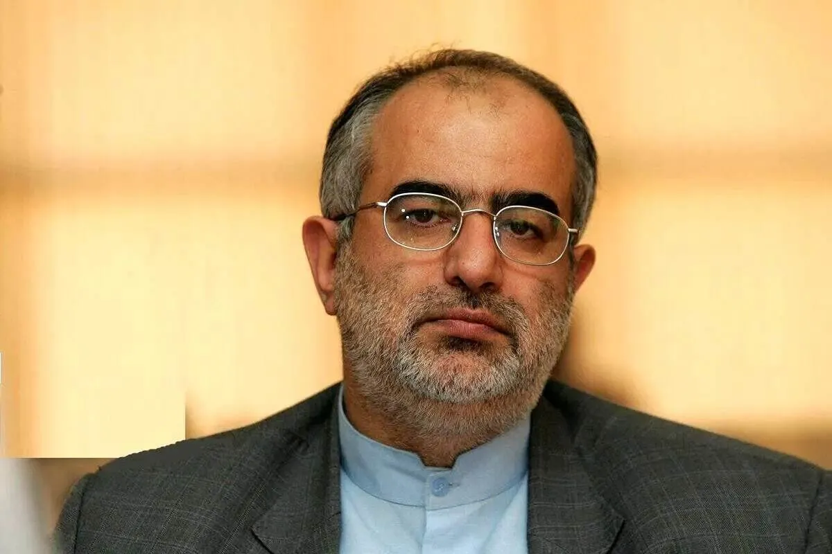 پیشنهاد عجیب مشاور روحانی برای دکترین دفاعی ایران / ایران باید جوجه‌تیغی شود!