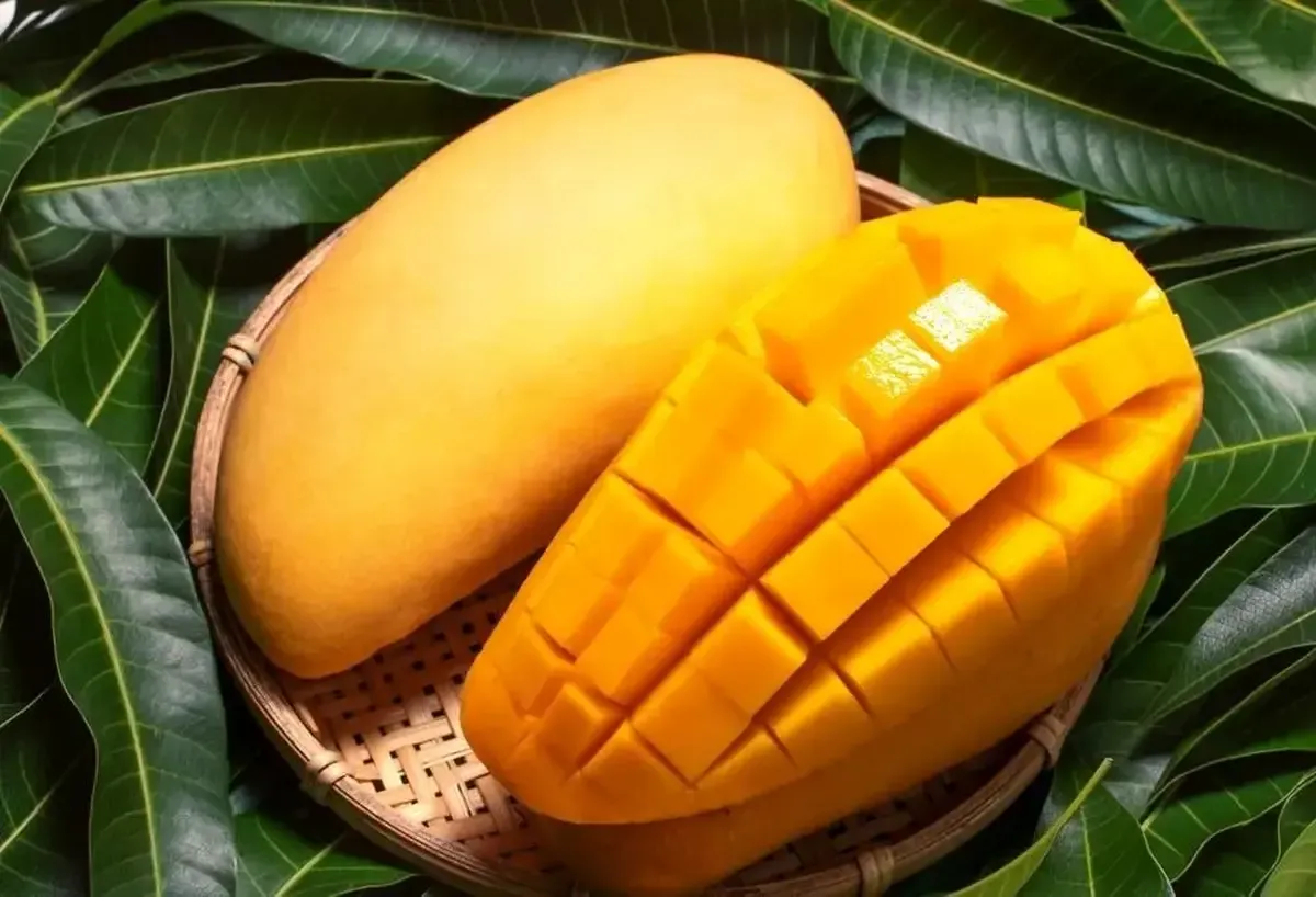 چراغ سبز ایران برای واردات میوه از کنیا