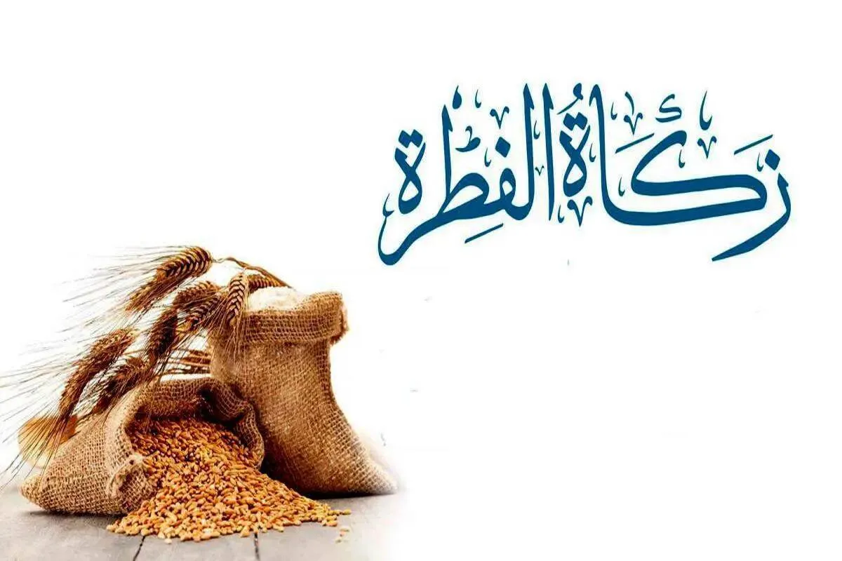می‌توان زکات فطریه را به شخص سید داد؟