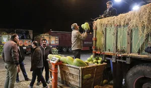 ارزان‌ترین و گران‌ترین میوه‌های بازار چند؟