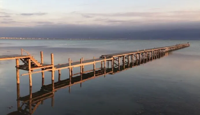 Successful restoration of Gorgan Bay in 2023