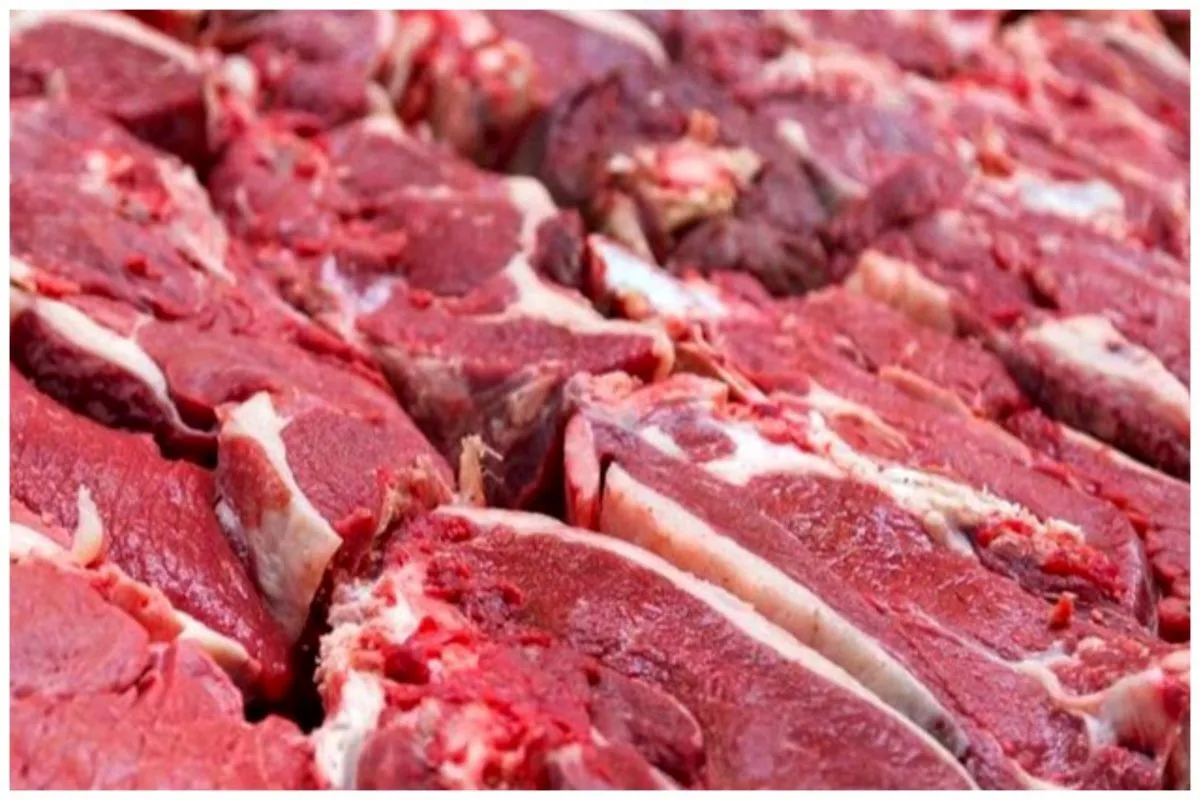 خبر خوش از بازار گوشت/ منتظر سقوط قیمت گوشت باشید