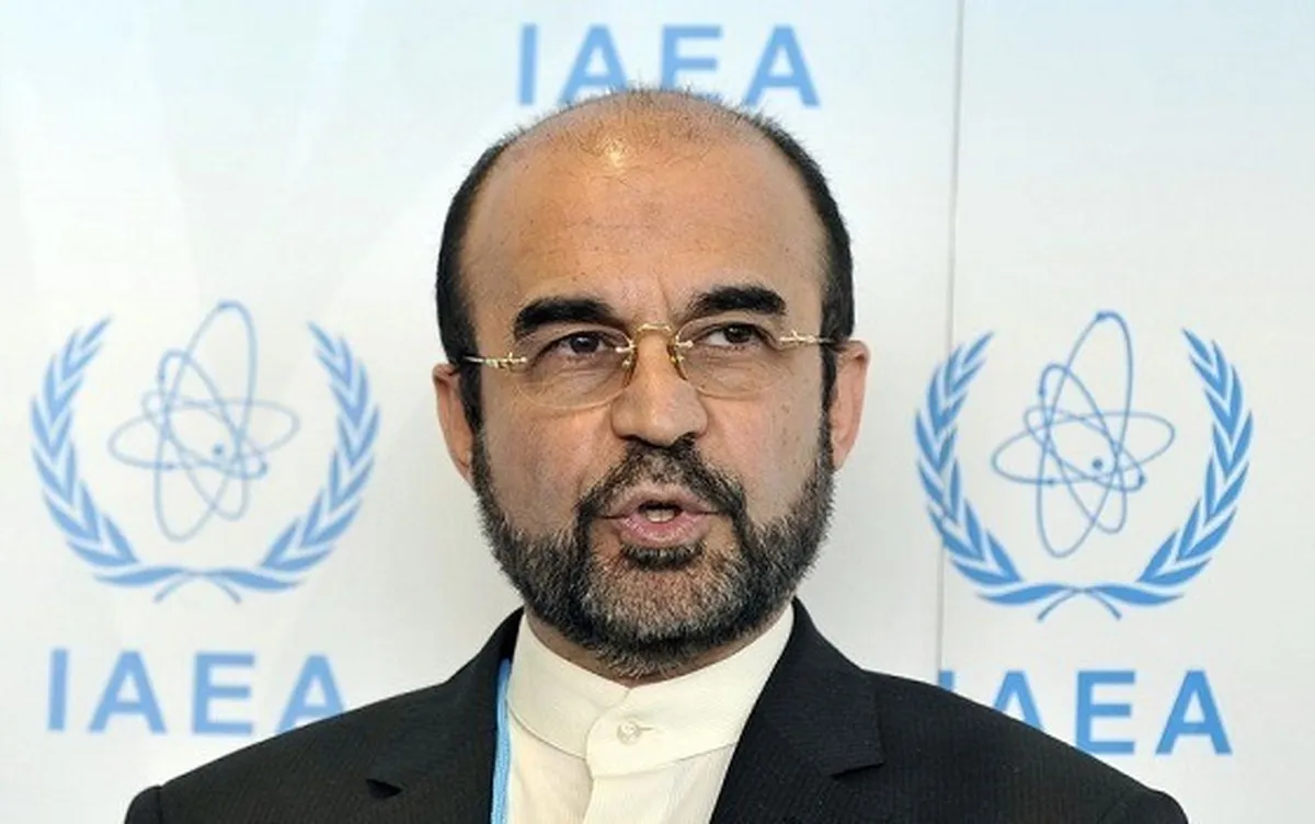رضا نجفی: مذاکرات ایران و آژانس پیشرفت داشت