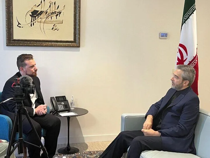 UNSC must resort to force to stop Israel: Iran acting FM