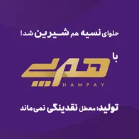 «هم‌پی» اقدام پیشتازانه بانک اقتصادنوین برای رفع موانع تولید