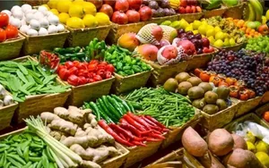 آمار تازه از تولیدات کشاورزی ایران / تولید سالانه به ۱۳۵ میلیون تن رسید