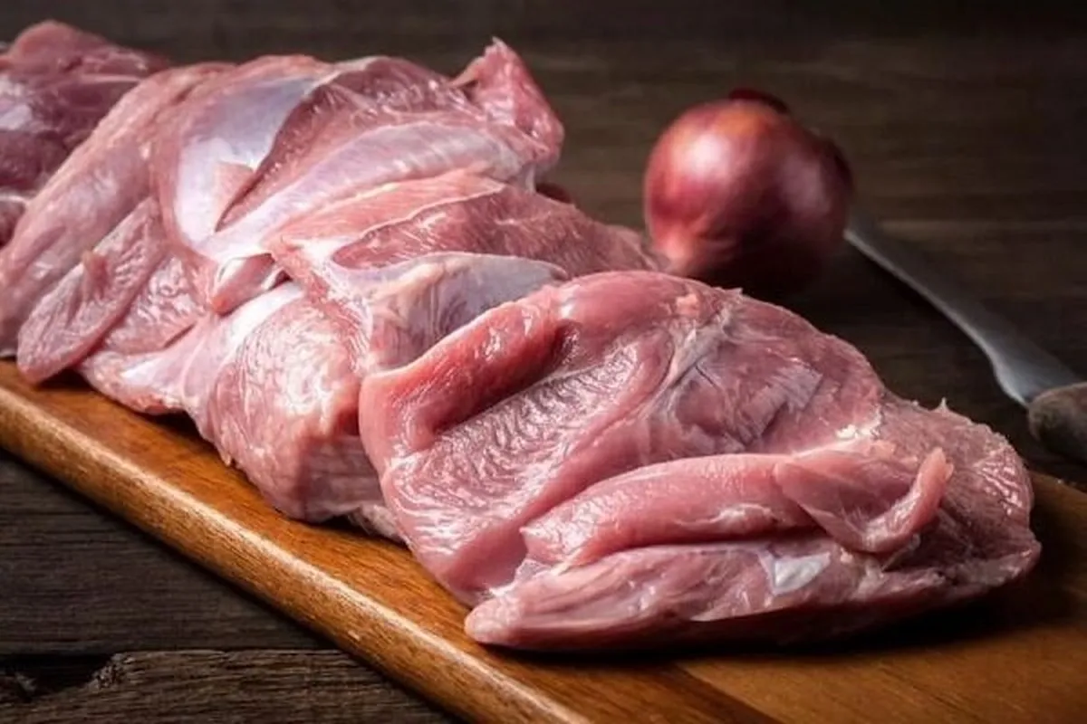 بررسی بازار گوشت بوقلمون / قیمت‌ها در تهران مشخص شد