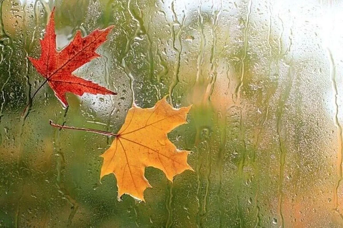 تاریخ دقیق بارندگی تهران برای هفته آینده اعلام شد