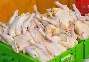 قیمت مرغ ۲۰ درصد کاهش داشت/ روغن پر تقاضاترین کالا در سبد کالابرگ خانوار