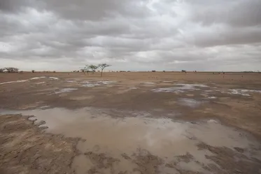 FAO urges action on rangeland restoration, drought resilience