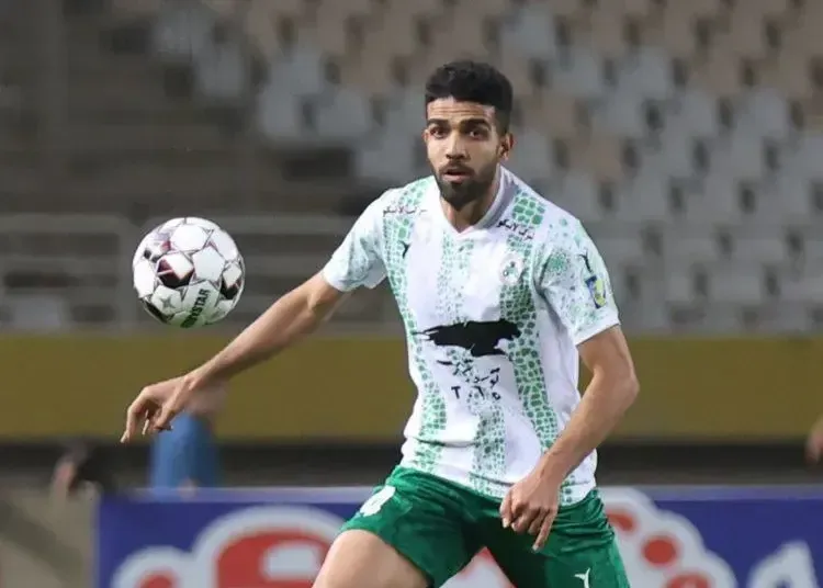 آرش قادری