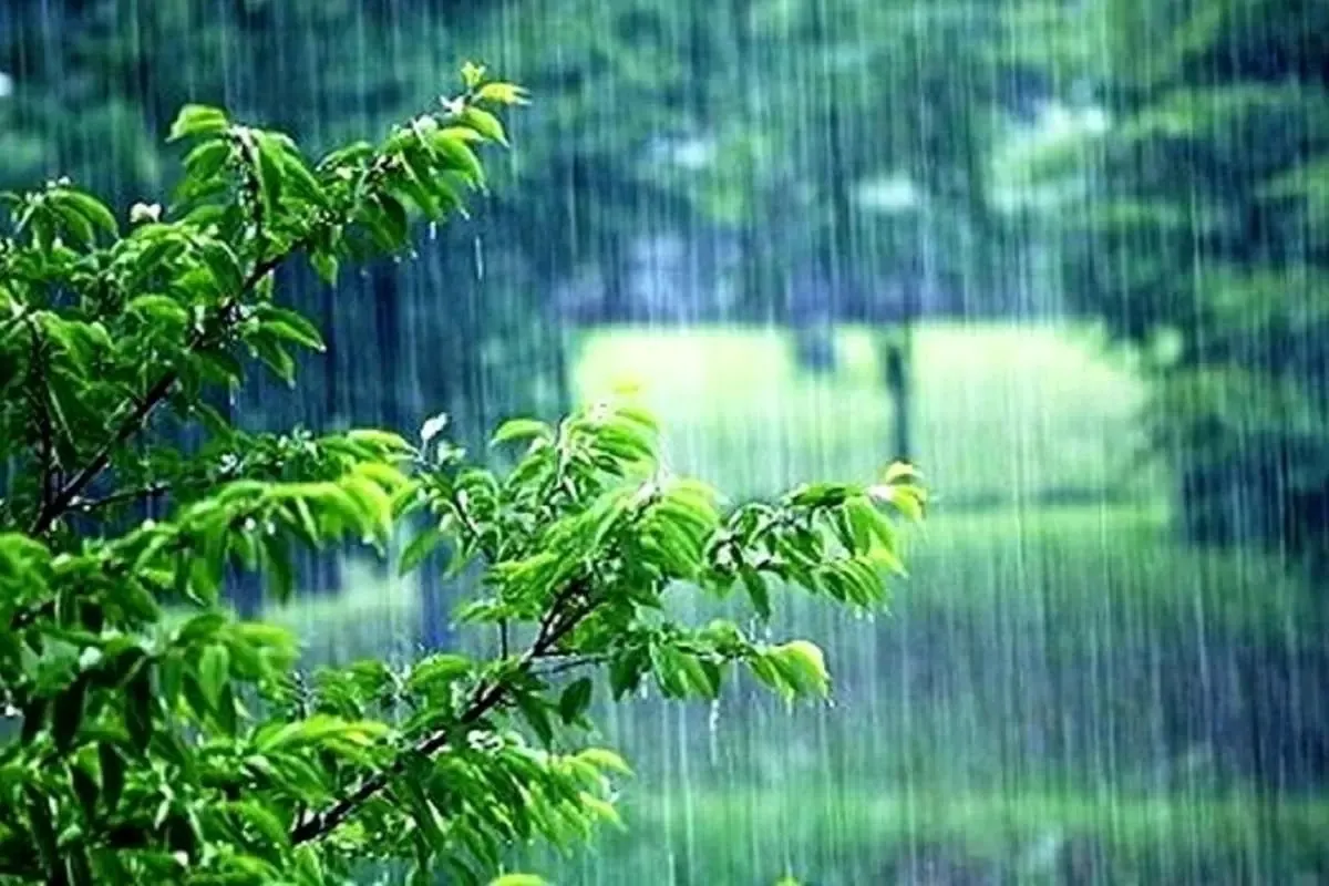 هواشناسی کشور امروز دوشنبه ۱۷ آذر ۱۴۰۴ / هشدار جدی هواشناسی به ۲۴ استان