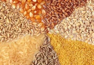 قیمت نهاده‌های فروخته شده تغییر نمی‌کند