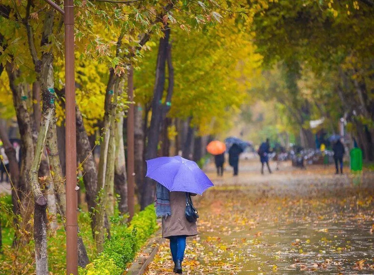 بارش سیل آسای باران در این مناطق/ آماده باشید