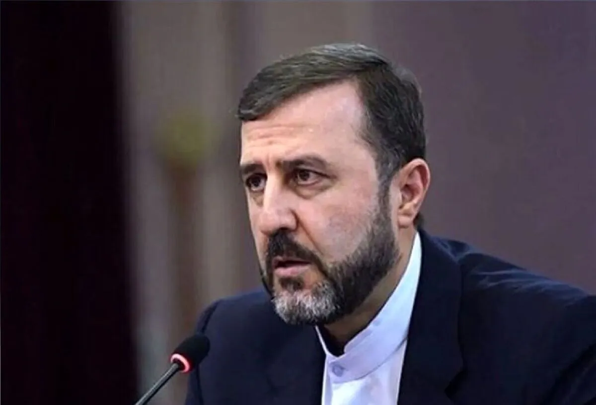 US uses human rights selectively to shield Israel: Iran’s deputy FM