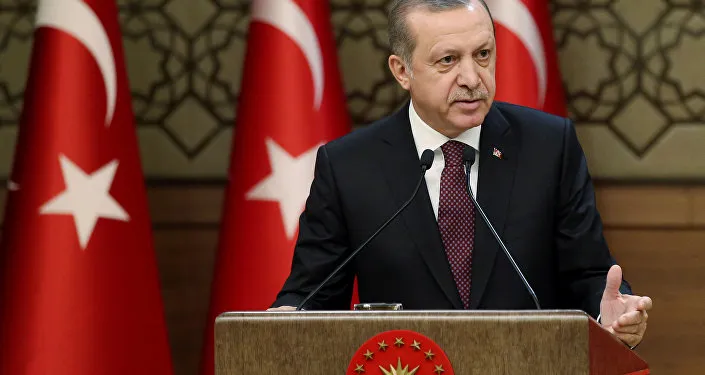 Erdogan, Trump agree to act jointly against Islamic State in Syria: Turkish sources