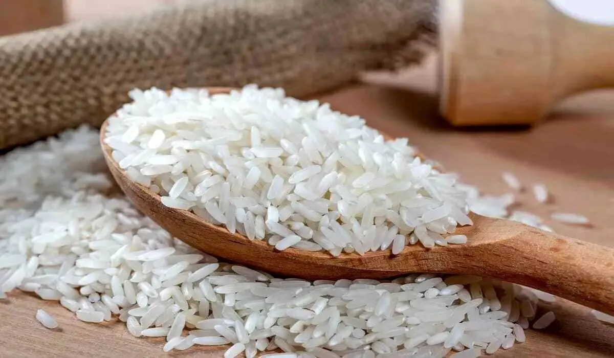 برنج آلوده نخورید/ چند روش‌ ساده برای کاهش آرسنیک در برنج