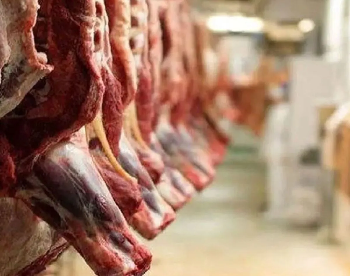 آغاز طرح جدید عرضه مستقیم گوشت قرمز