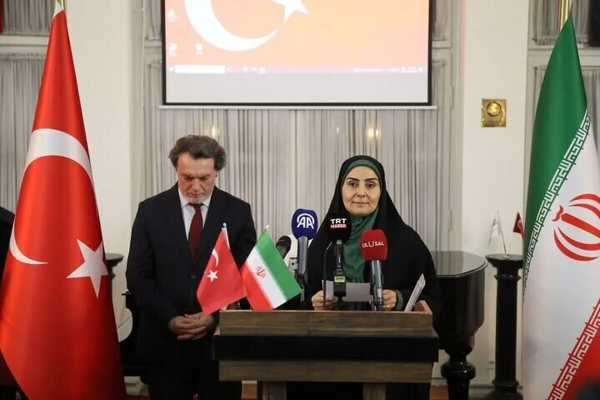 Minister calls for expanding Iran-Turkey transport coop.