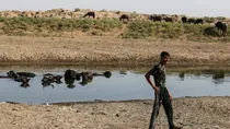 پشت-پرده-خشکی-تالاب-هورالعظیم-آب-زاینده-رود-هم-قطع-می-شود