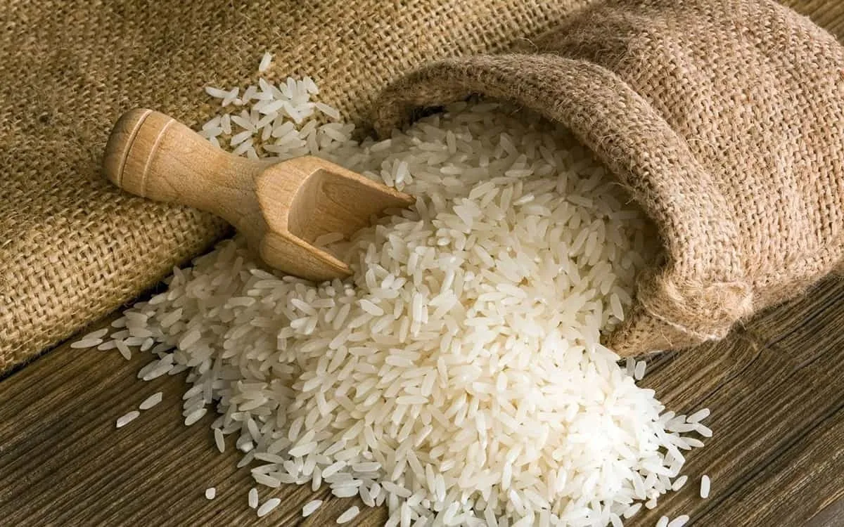 قیمت برنج ایرانی امروز ۳۰ مرداد ۱۴۰۴ / ارزا‌ن‌ترین برنج ایرانی کیلویی چند؟ + جدول