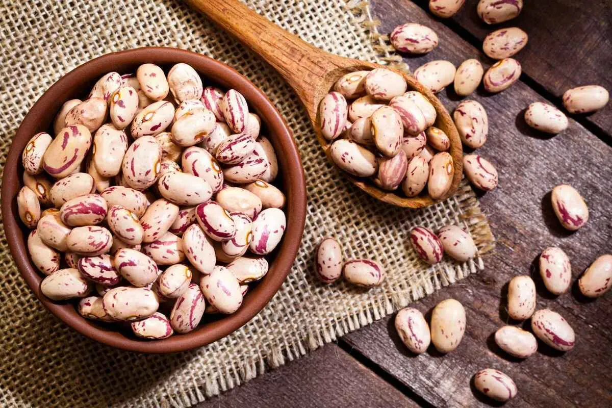 چرا قیمت لوبیاچیتی سر به فلک کشید؟
