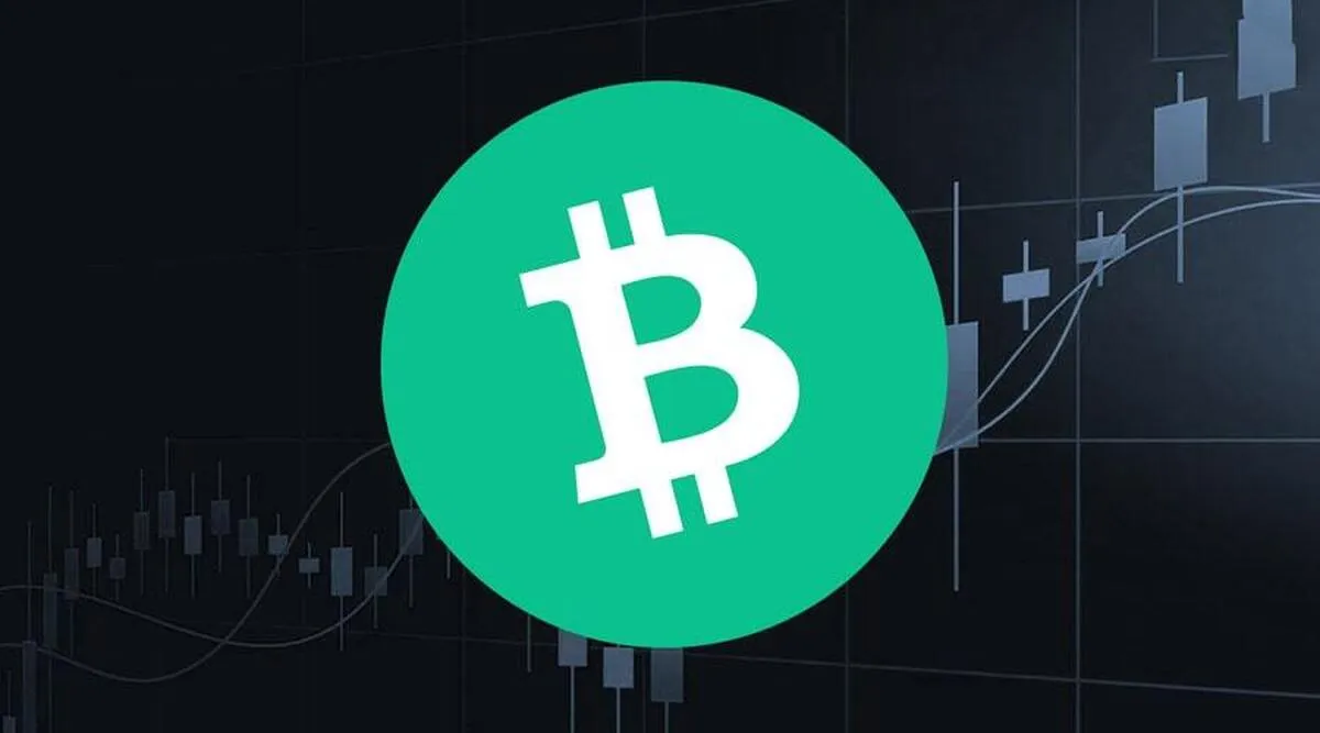 صعود دوباره بیت‌کوین کش/ زمان خرید BCH فرا رسیده؟+ نمودار