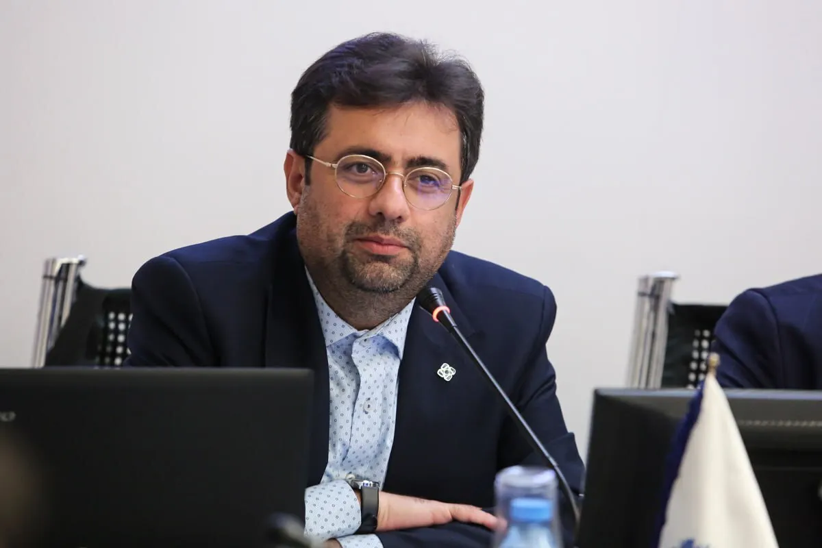 مدنی زاده منتقد جدی نسخه های پرهزینه برای اقتصاد است/ امید به مشارکت نخبگان در دولت با حضور مدنی زاده