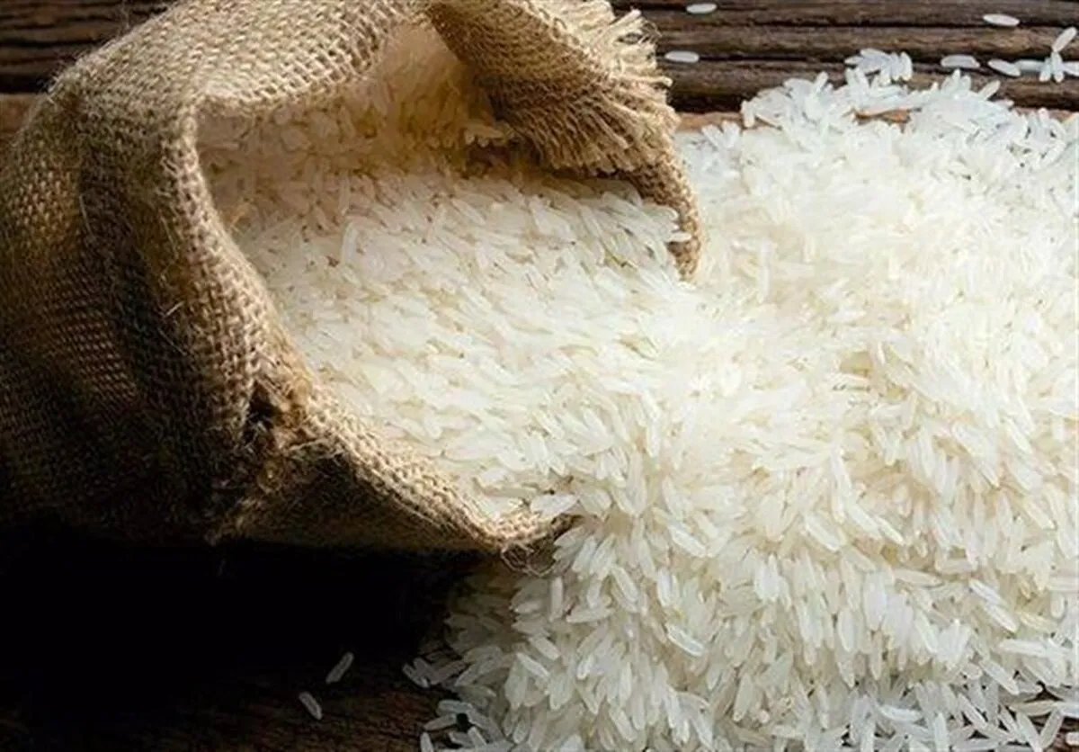 واردات ۵۰۰ هزار تن برنج خارجی به کشور