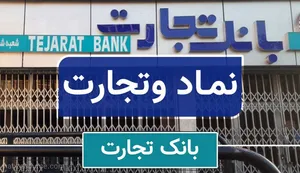 بررسی ارزندگی «وتجارت»؛ از افزایش سرمایه تا نمودار سهم