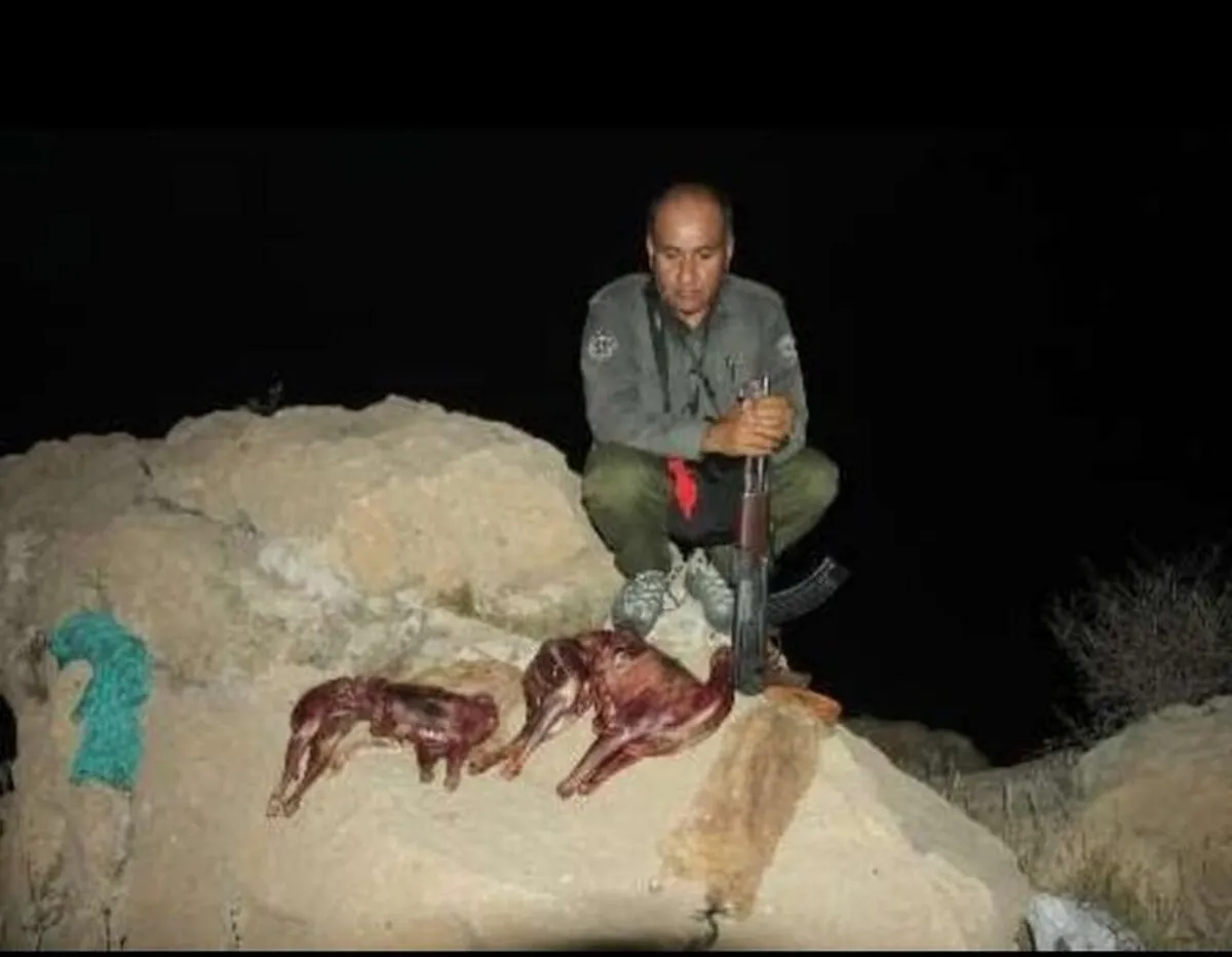 شهادت محیط‌بان کهگیلویه در درگیری با شکارچیان غیرمجاز