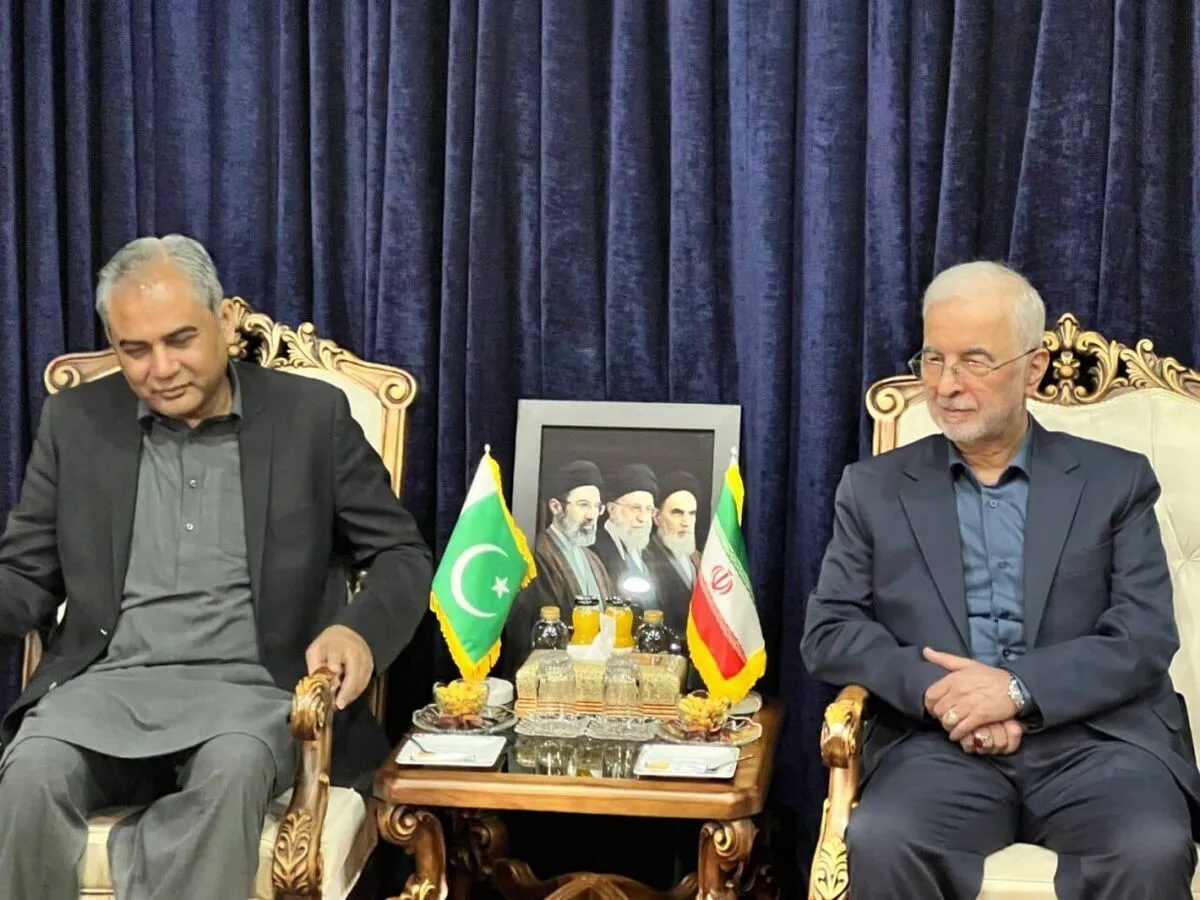 مذاکرات مقامات ایران و پاکستان ادامه دارد/ دومین سفر یک مقام پاکستانی به تهران در ده روز گذشته