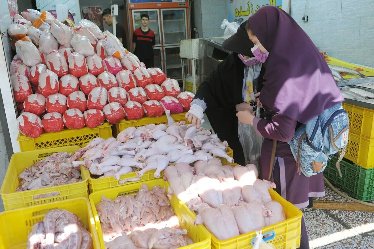 بازار مرغ آرام گرفت/ مرغ منجمد کیلویی چند عرضه می‌شود؟