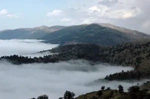 عاقبت ۵ فرد گمشده در جنگل ابر شاهرود