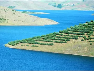 مکالمه رایگان ایرانسل به مناسبت روز کردستان