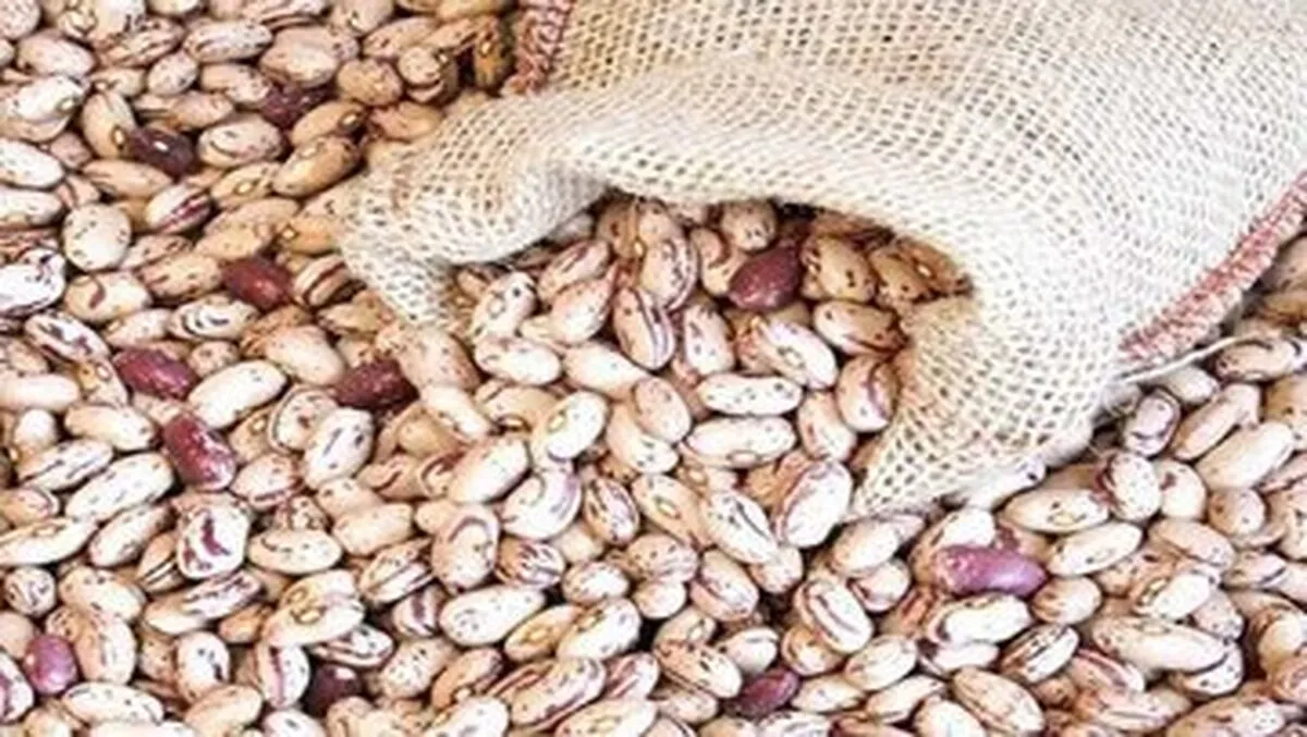 اصلاح قیمت لوبیا چیتی /این کالا را گران‌تر از این رقم نخرید