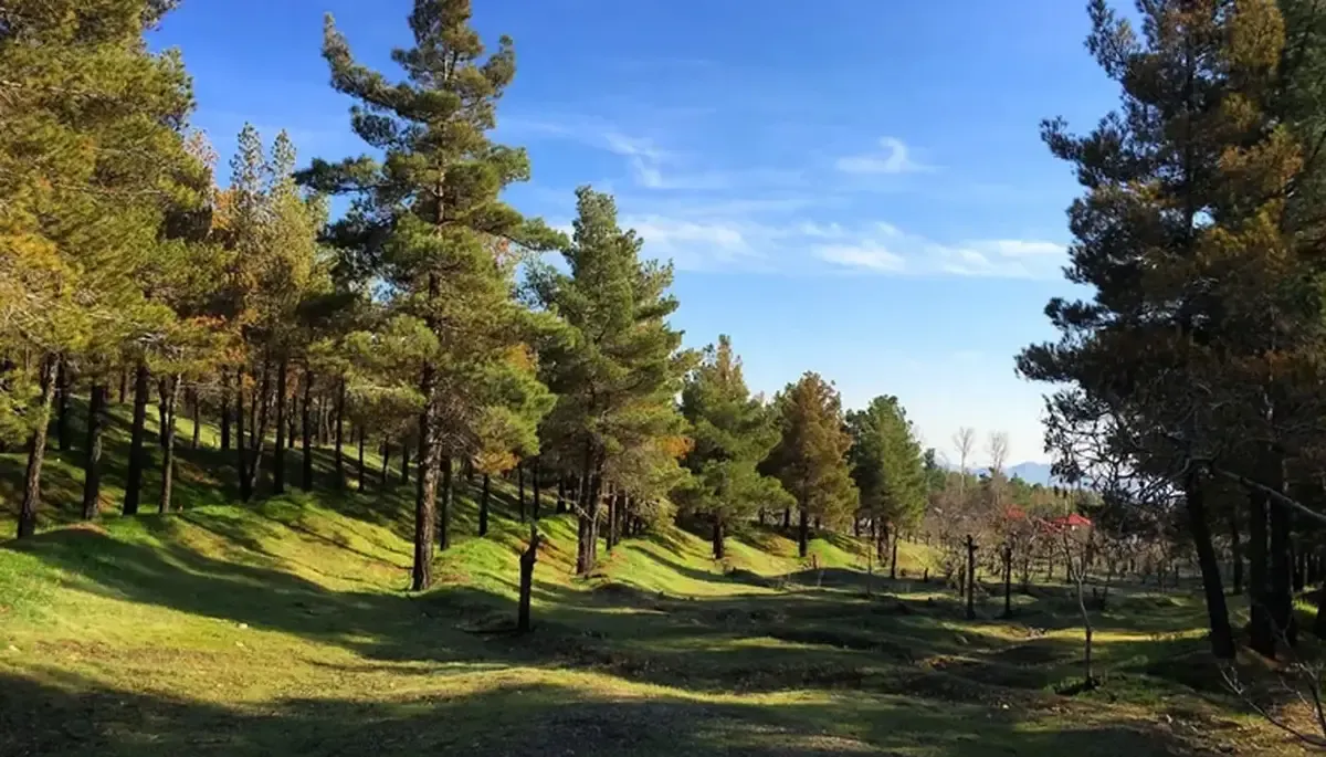 تعطیلی چهار بوستان جنگلی تهران در روز سیزده بدر/ اطلاعیه مهم شهرداری تهران