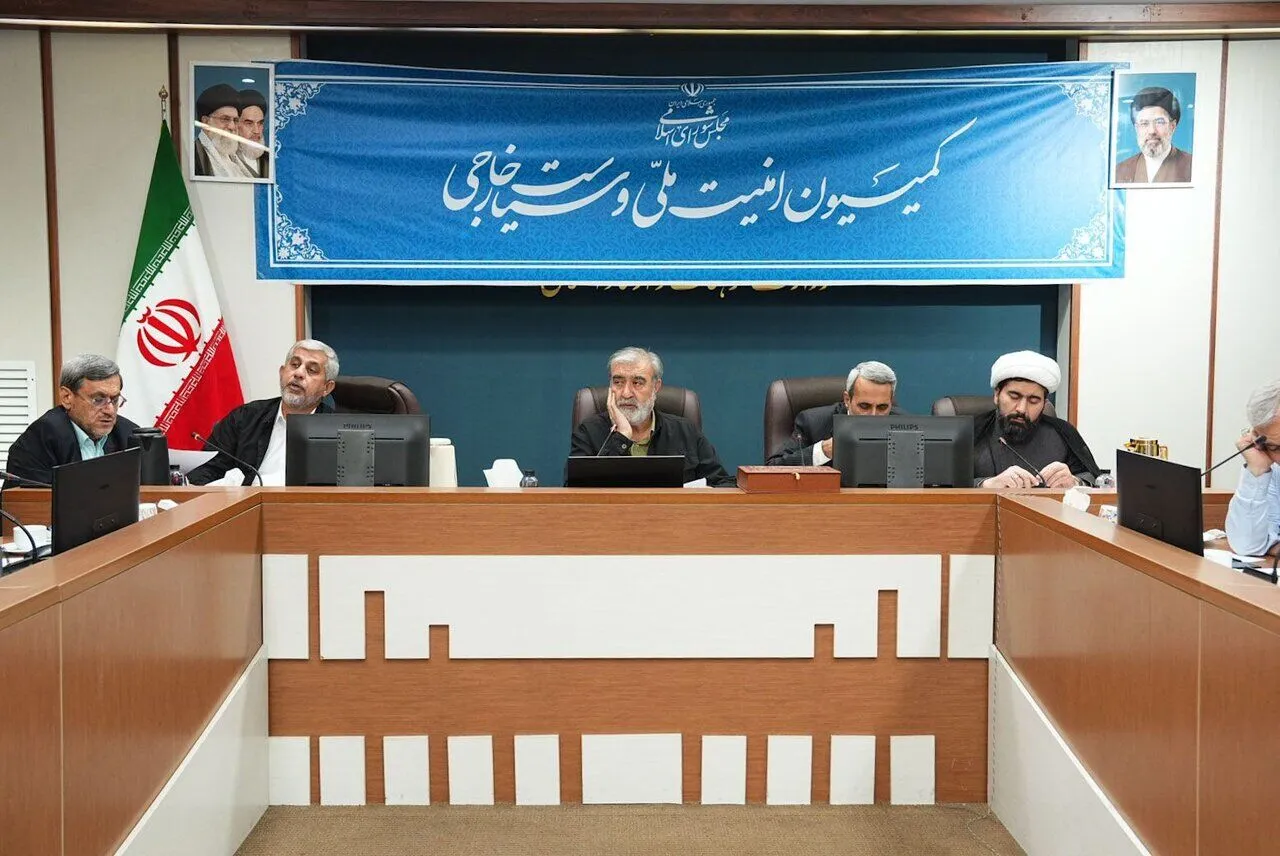 کمیسیون امنیت ملی