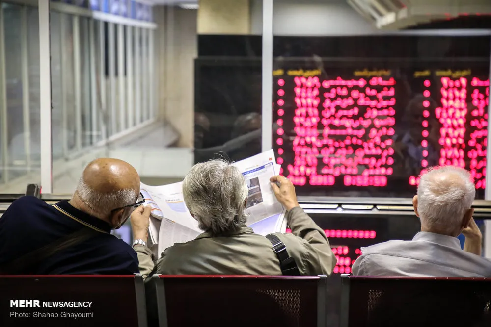 TSE Extends Losses