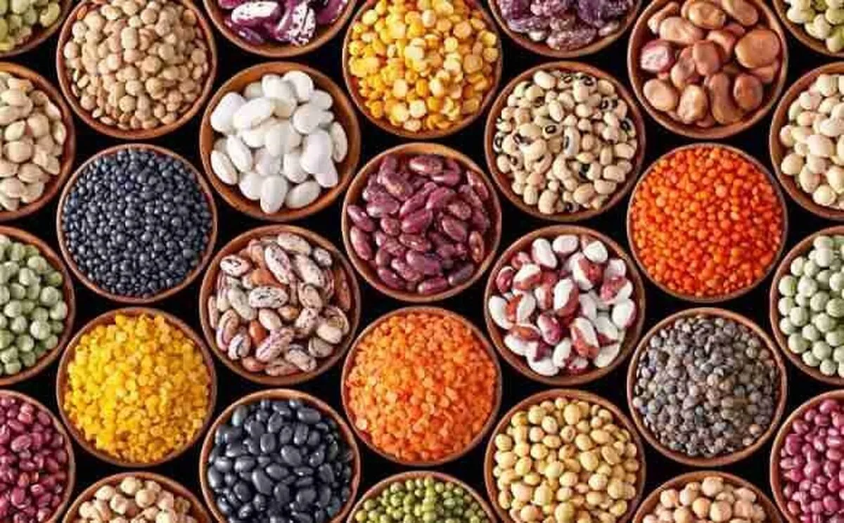قیمت انواع حبوبات امروز دوشنبه ۸ اردیبهشت ۱۴۰۴