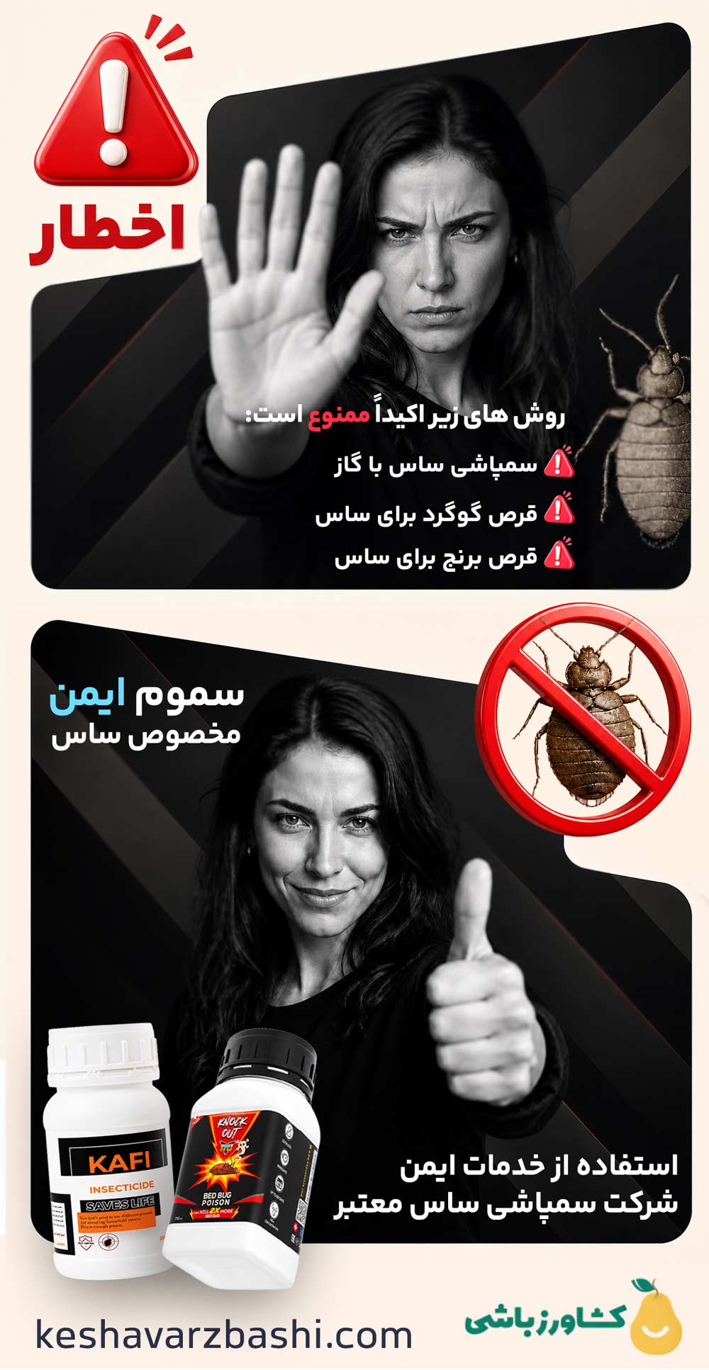 روش های خطرناک از بین بردن ساس - روش های ایمن و استاندارد نابودی ساس