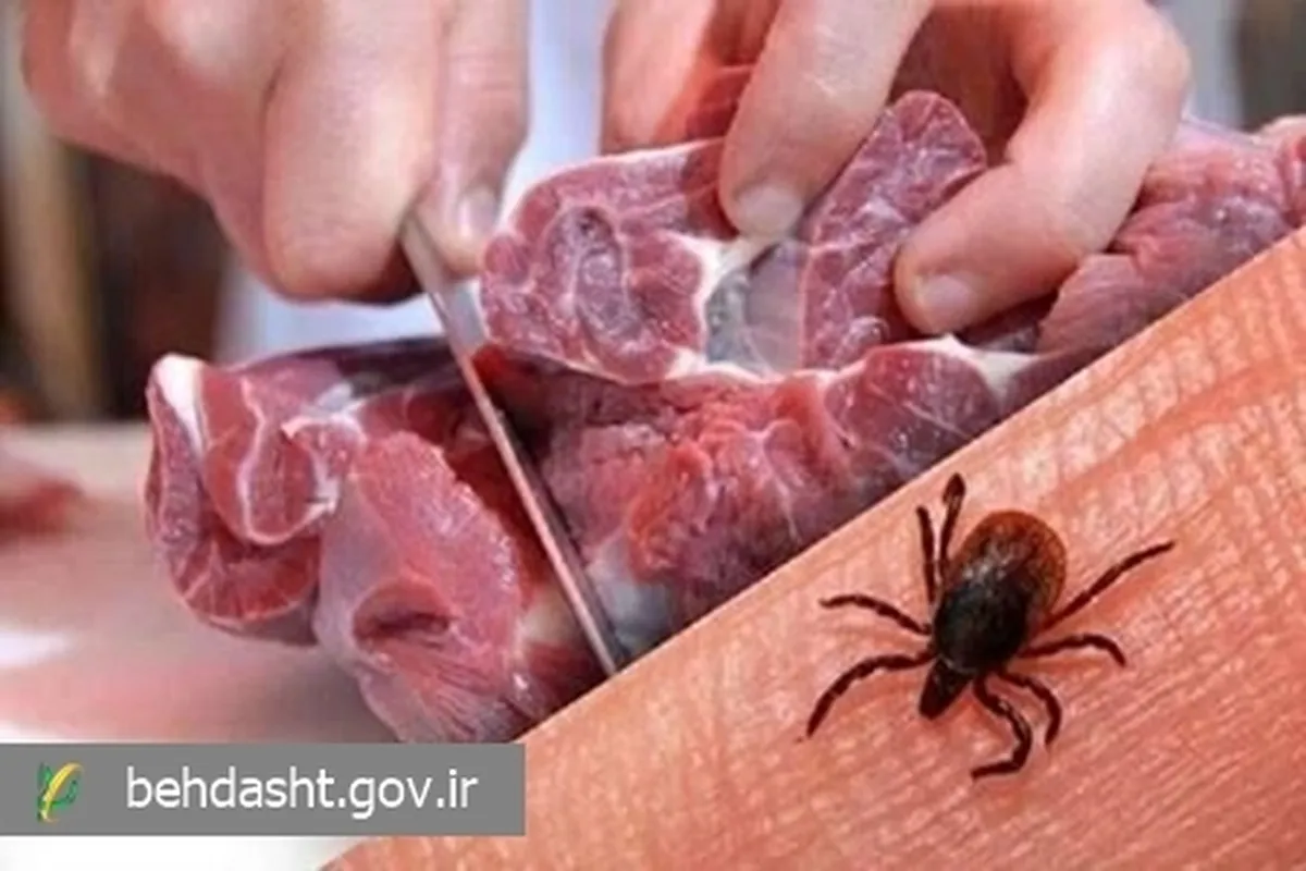 همه‌چیز درباره تب کریمه کنگو؛ بیماری خطرناک مشترک بین انسان و دام