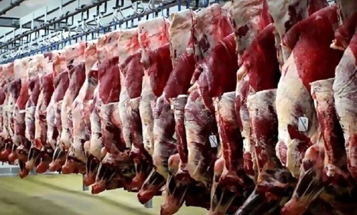 قیمت گوشت قرمز امروز  سه‌شنبه ۹ اردیبهشت ۱۴۰۴