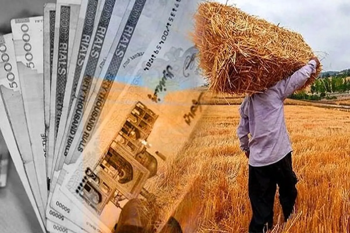 خبر مهم برای گندمکاران/ واریزی جدید برای گندمکاران اعلام شد