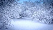 رونمایی-از-سرمای-زمستانی-در-تهران-برف-و-باران-به-کشور-رسید