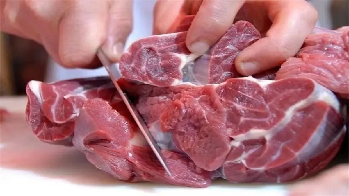 جزئیات مهم از واردات گوشت آلوده به ایران